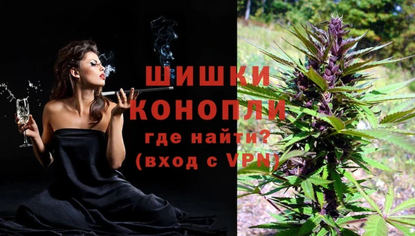 индика Баксан