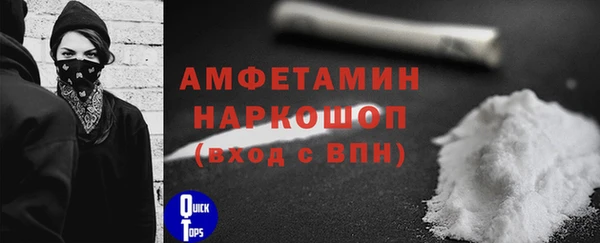 индика Баксан