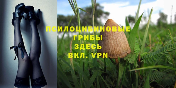 ПСИЛОЦИБИНОВЫЕ ГРИБЫ Рославль